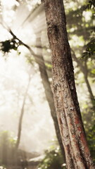 A tall tree stands proud in a peaceful forest as soft sunlight streams through the branches, creating a magical atmosphere filled with tranquility and natures beauty.