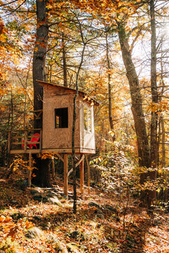 Wooden treehouse cabin in an autumn forest landscape
