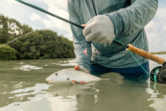 Fly angler holds a bonefish that was caught on the flats in Belize