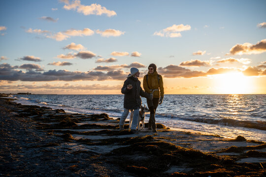 Couple walking with dog along Baltic Sea beach at sunset