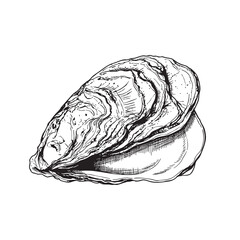 🦪 Vintage Engraving of an Oyster Shell Illustration