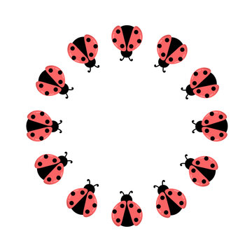 Ladybug circle frame. Circle frame with ladybug. Round laddybird frame. Round border with red bettle. Simple bright background, decoration for spring, summer, natural, kids design