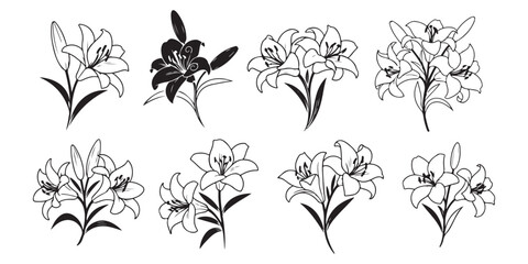 Fototapeta premium set of black and white flowers