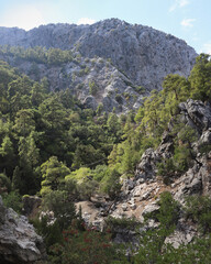 Dramatic limestone mountains in Goynuk canyon, Turkey. Rocky cliffs with pine forests.