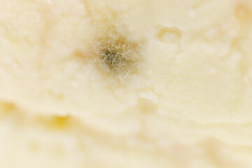 Moldy cheese showing signs of spoilage and decay