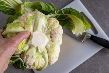 Fresh cauliflower being prepared on kitchen cutting board