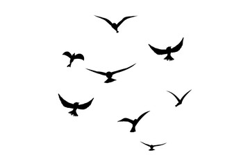 Fototapeta premium Flying flock of birds silhouette, Simple swallows in flight, crows in the sky. Group of birds border.