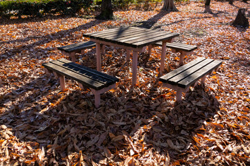 落ち葉で埋め尽くされたベンチのある初冬の大間木公園