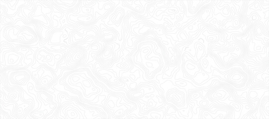 Topographic Map with Fine, Light Gray Lines on a Bright White Background Soft Contour Pattern topographic Background.