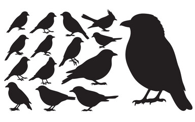 Fototapeta premium Bird Silhouette Vector Set