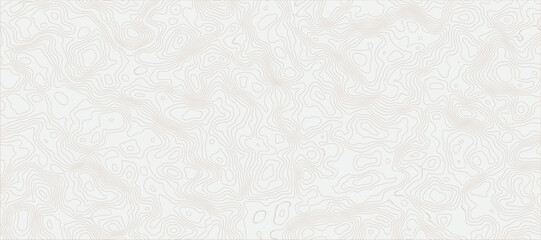 Minimalist Topographic Map Abstract Featuring Fine, Faint Gray Contour Lines Topography Texture for Background Design and Maps.