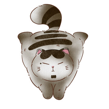 Cat cute