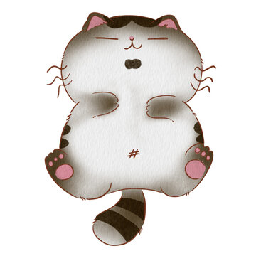 Cat cute