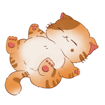 Cat cute