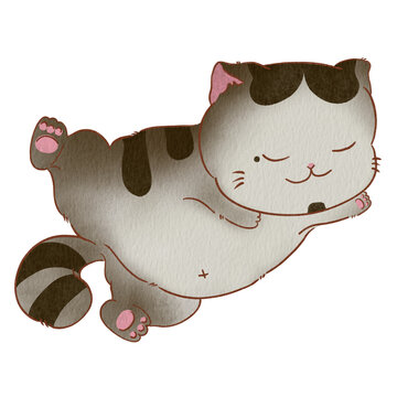 Cat cute