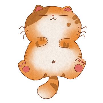 Cat cute