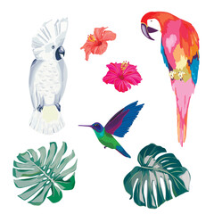 Tropical collection with palm leaves, hummingbird and parrots. Vector illustration. Summer background © natikka