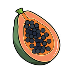 Cutaway Papaya Illustration