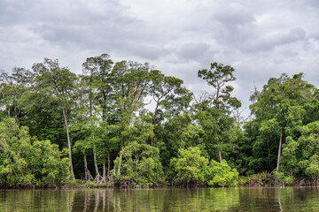 Boat trip on the Preguica River from Barreirinhas, Lencois Maranhenses to Atins, Maranhao, Brazil