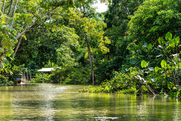 River boat tour on the Guama River at Belem do Para, a city on the north area of Brazil.