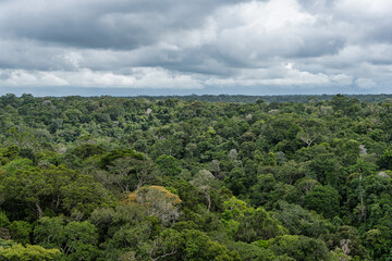 View from the tower of the Musa botanical garden. Manaus, Brazil. Natural beauty, Floresta Amazonica