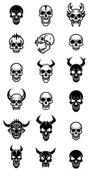 Fototapeta premium 骸骨の標本集