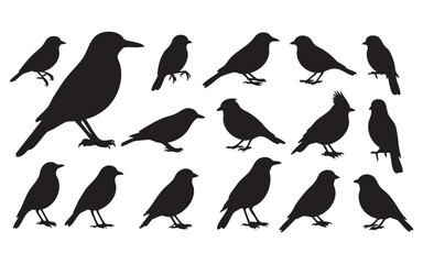 Obraz premium Bird Silhouette Vector Set