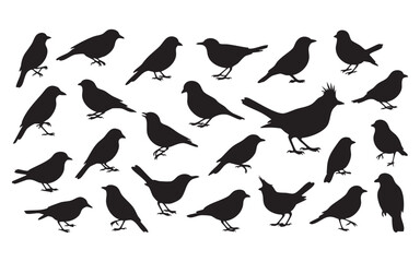 Obraz premium Bird Silhouette Vector Set