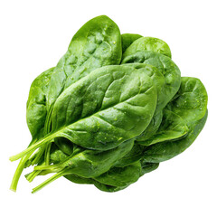 Obraz premium Fresh green spinach leaves isolated on white background. Organic vegetable produce for healthy cooking