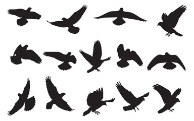 Bird Silhouette Vector Set