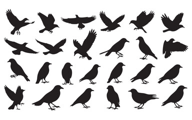 Bird Silhouette Vector Set