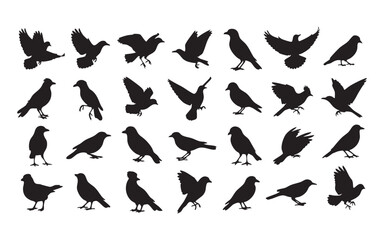 Bird Silhouette Vector Set