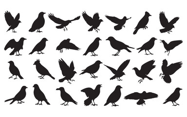 Bird Silhouette Vector Set