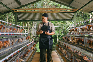 Dedicated Farmer Using Tablet to Manage His Chicken Coop Business © Gatot