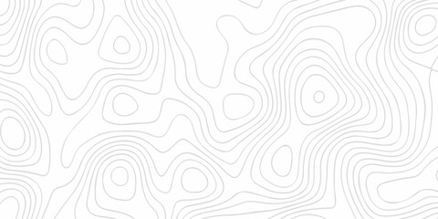 Contour abstract map relief land outline. Topographic map patterns. White wave paper curved reliefs abstract background. Background of the topography map. Abstract pattern with lines. © armans