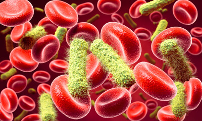 Sepsis in which bacteria spread and destroy blood cells. 3D illustration.