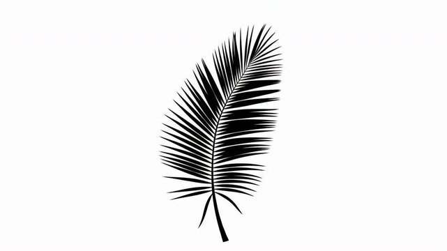 Black palm leaf swaying in the wind animation