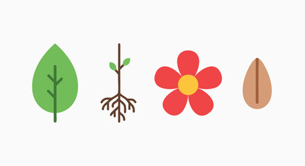 Minimalist vector icons illustrating fundamental plant development stages leaf seedling roots flower seed nature growth organic green red brown