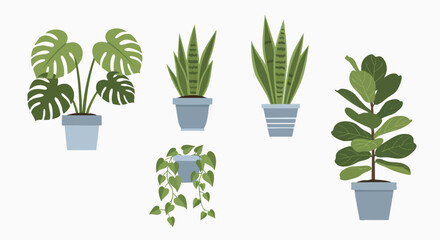 Collection of diverse potted houseplants simple modern vector illustration Indoor Plants Green Foliage Home Decor Nature Flat