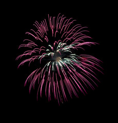 Pink firework sparkling on black background for celebration and anniversary
