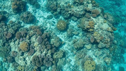 Aerial abstract view of vibrant coral reef texture in Kepulauan Anambas water 