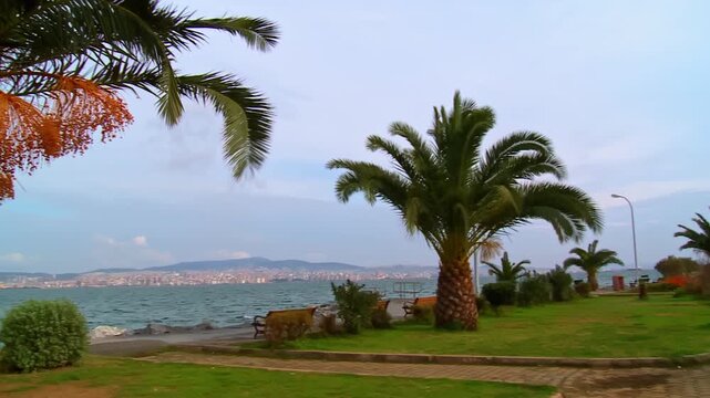 Palm Trees on Buyukada Coast with Sea and Istanbul Anatolian Shoreline