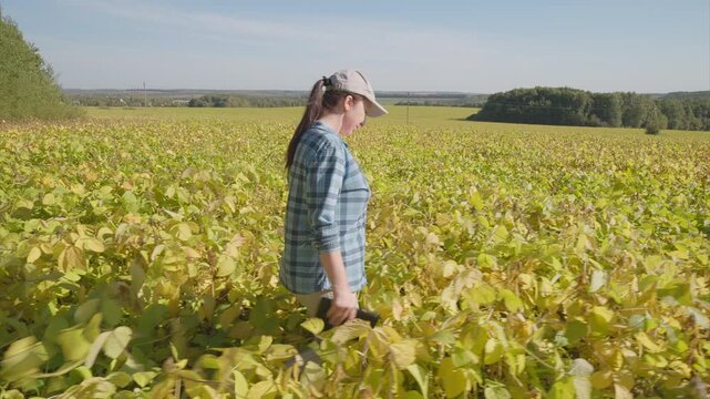 A woman is walking gracefully through lush, vibrant soybeans green fields during the autumn season