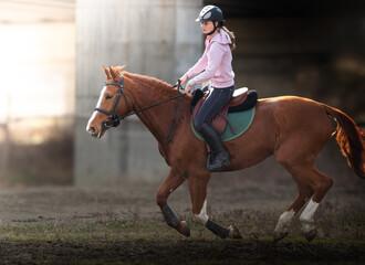 A young girl riding a chestnut horse in rural countryside.