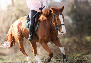 A young girl riding a chestnut horse in rural countryside.