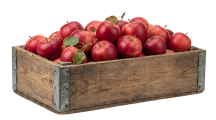 A large wooden crate brimming with freshly picked, bright red apples, isolated on a black background isolated on transparent background