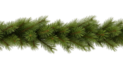 Green pine tree branch with needles on a transparent background isolated on a transparent background