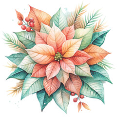 watercolor illustration of a pink and white poinsettia flower vector
