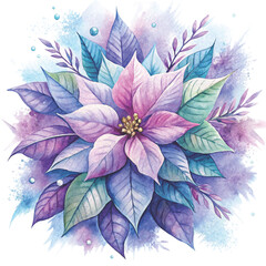 watercolor illustration of a pink and white poinsettia flower vector