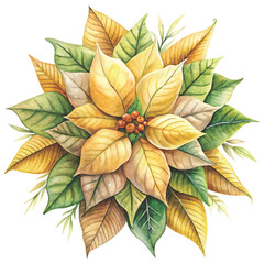 watercolor illustration of a pink and white poinsettia flower vector